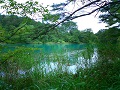 Fukushima